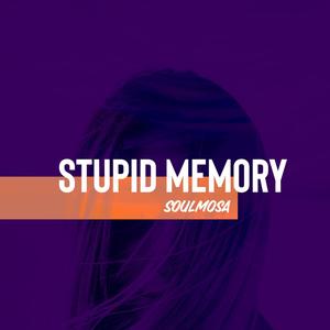 Stupid Memory (Explicit)