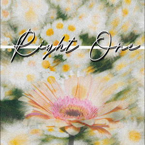 Right One (feat. Royal T & Pink Nois) (Explicit)