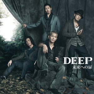 未来への扉 (通往未来的门扉)