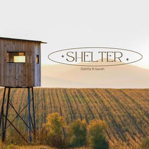 Shelter (feat. Sarah Azab)