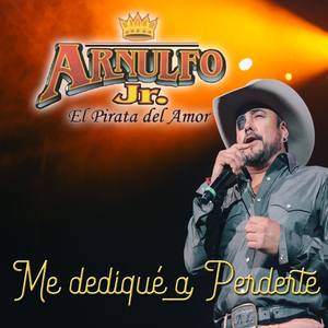 Me Dediqué a Perderte