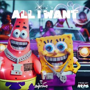 All I want (Explicit)