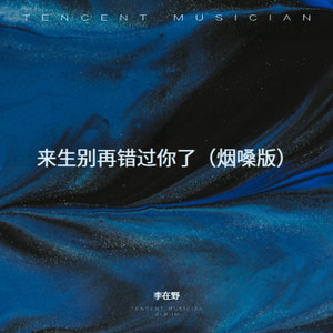 来生别再错过你了 (烟嗓版)