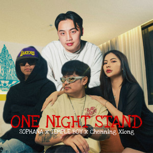 ONE NIGHT STAND (Explicit)