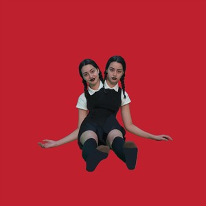 Conjoined Twins