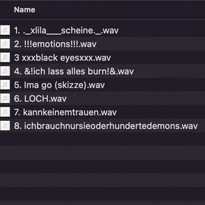 1 _xlila___scheine_