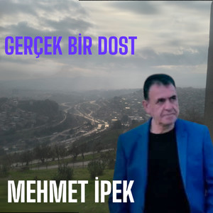 Gerçek bir dost