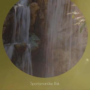 Sportsmanlike Risk