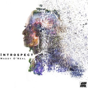 Introspect (Explicit)