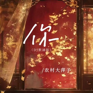 你 (DJ默涵版伴奏)