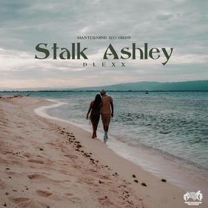 Stalk Ashley (Explicit)