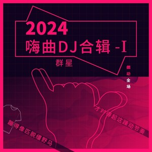 2024嗨曲DJ合辑-I