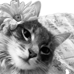 Địa Ngục Trần Gian