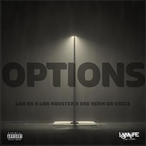 Options (feat. LOA Rooster & Dee Herm Da Voice) (Explicit)