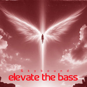 Elevate the Bass
