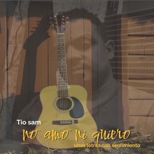 No Amo Ni Quiero