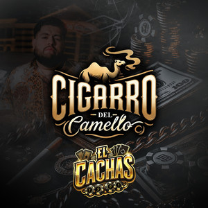 Cigarro Del Camello