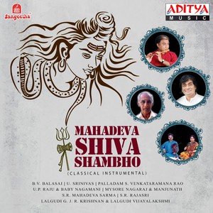 Vinarada - Devagandhari - Adi