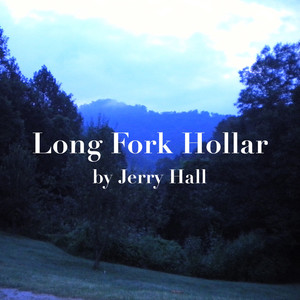 Long Fork Hollar