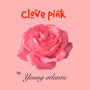 Clove pink (Explicit)