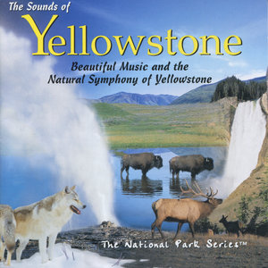 Randy Petersen - Yellowstone