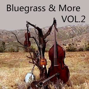 Bluegrass & More, Vol. 2