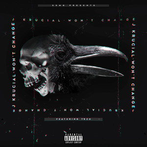 Won't Change (Explicit)