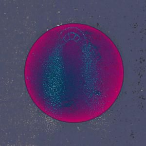 Blinded me (Explicit)