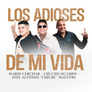 Los Adioses De Mi Vida (En Vivo)