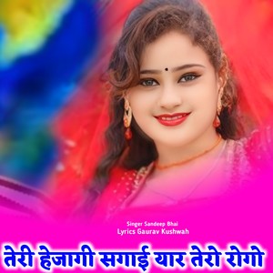 Teri Hejagi Sagai Yar Tero Rogo