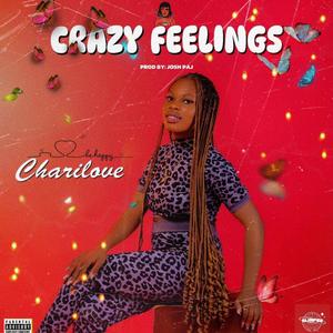 Crazy Feelings (Explicit)