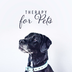 Therapy for Pets - Healing and Soothing Nature Melodies for Your Pet, Relieving Stress and Tension Music, to Relax and Calm Down