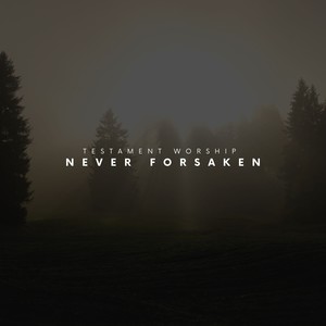 Never Forsaken (Reimagined)