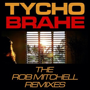 The Rob Mitchell Remixes