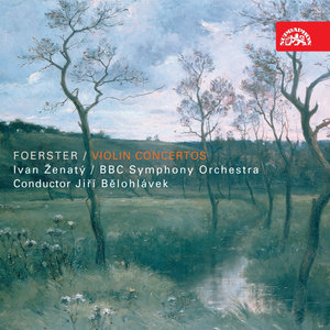 Concerto for Violin and Orchestra No. 1 in C minor, Op. 88: I. Allegro moderato