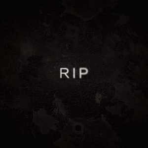 愿你（To 反正我手敲好看）