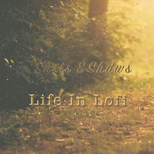 Snsts & Shdws: Life in Lofi