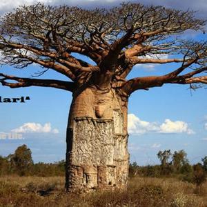 Welcome To The Life(feat. Horus Rao) (Explicit)