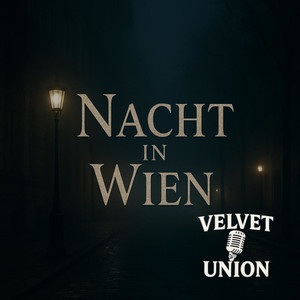 Nacht in Wien