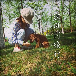 逆风的旅行