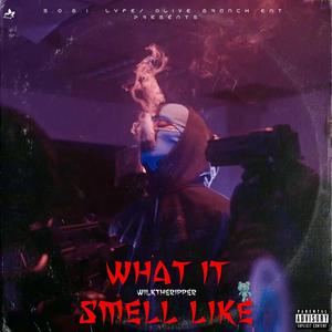 What It Smell Like (Explicit)