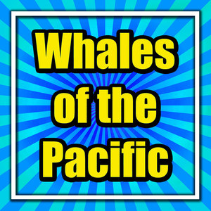Whales of the Pacific