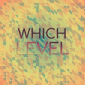 Which Level