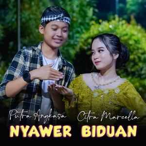 Nyawer Biduan