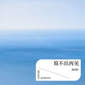 说不出再见 (伴奏)