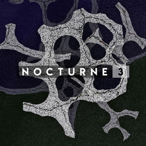 Nocturne 3