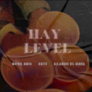 Hay level (Explicit)