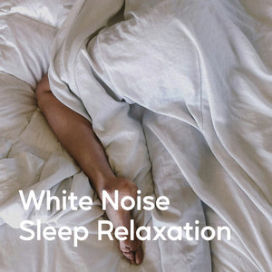 Continuous Relax Flow