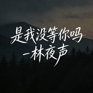 是我没等你吗
