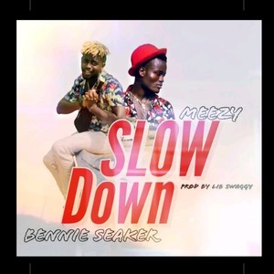 Slow Down (feat. Mee zy)